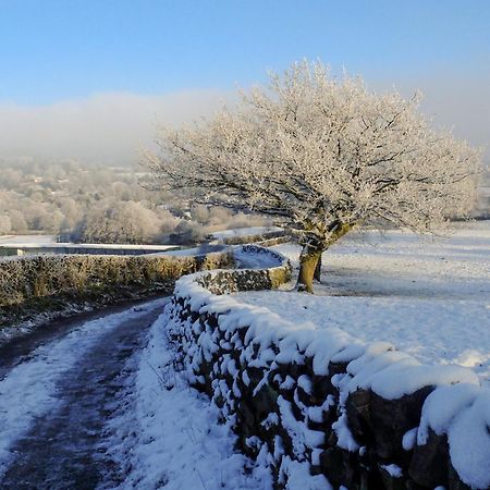 Serenity- Uk38551 Endon 外观 照片