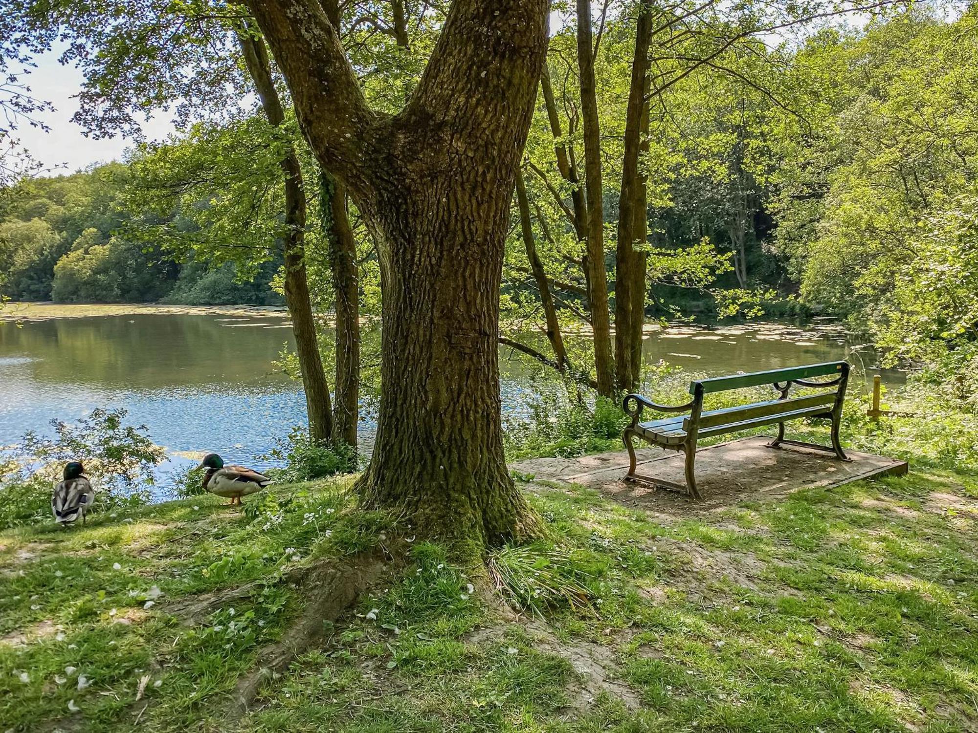 Serenity- Uk38551 Endon 外观 照片